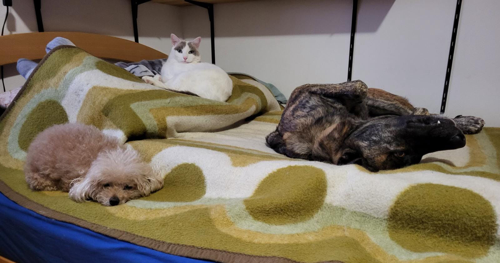 Hier ist es gemütlich