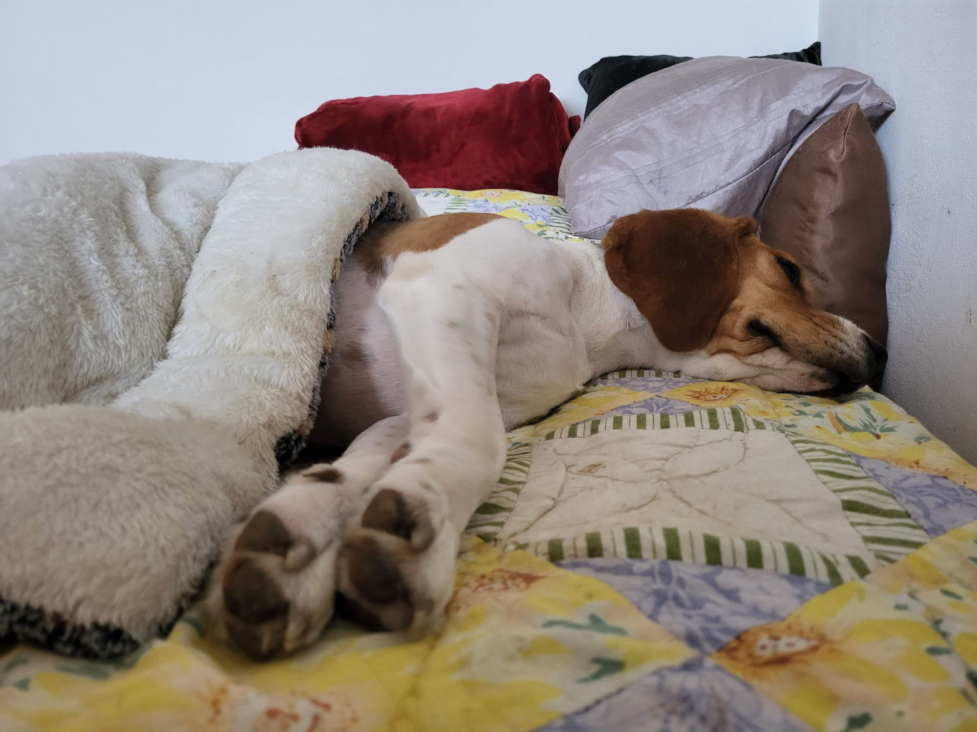 Endlich schlafen ...