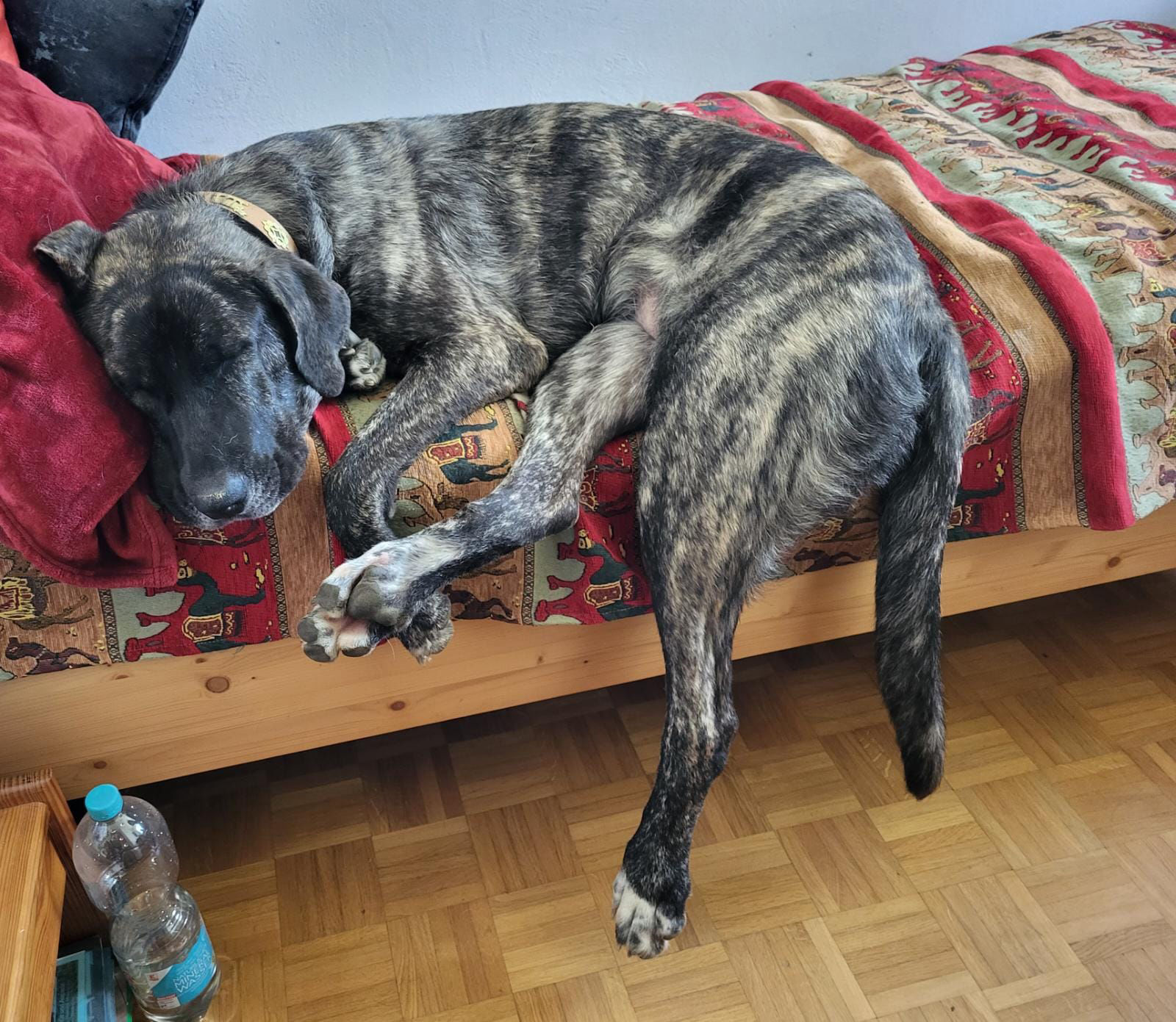 ... das Bett ist ein wenig zu klein