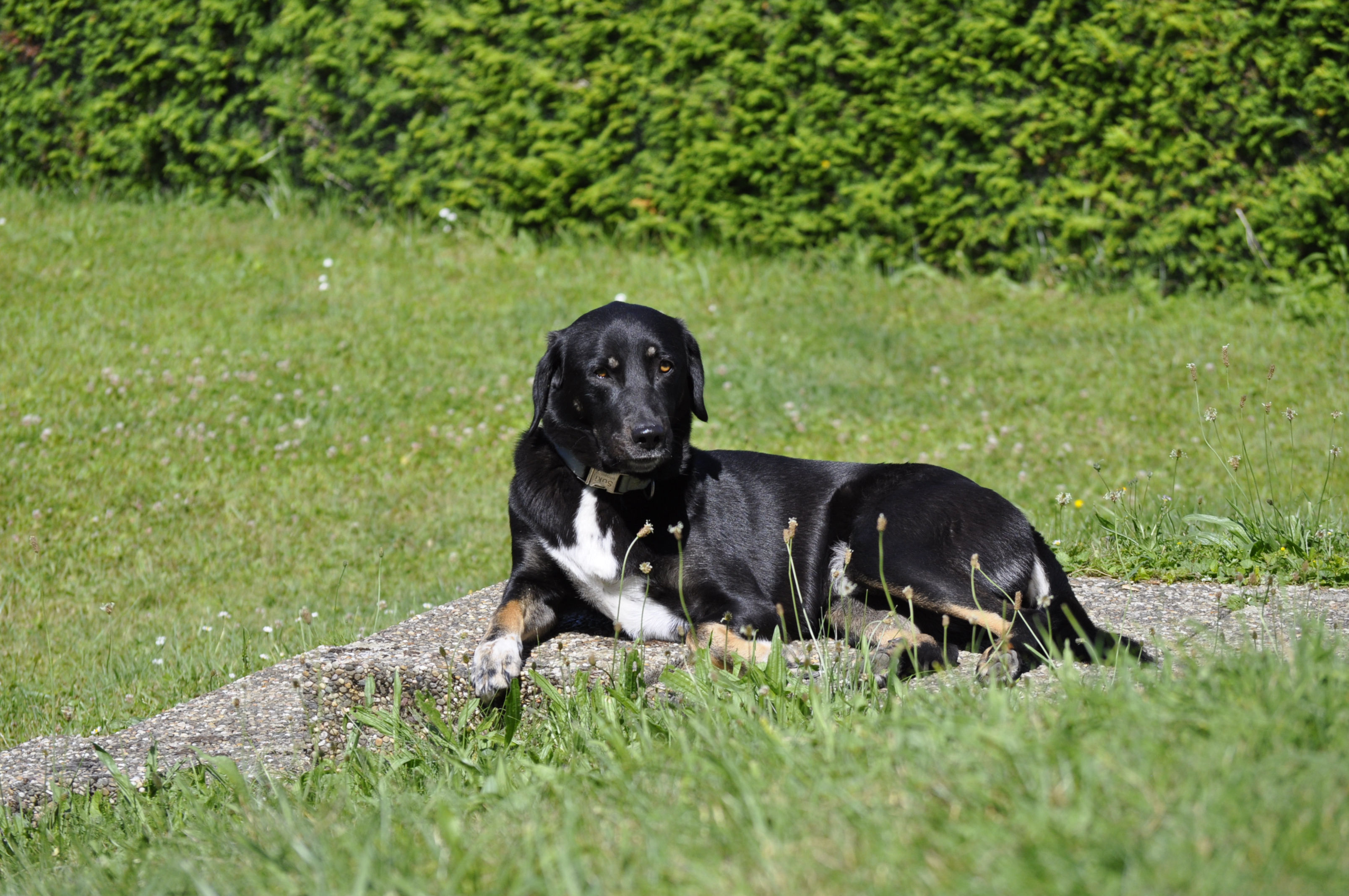 Ich habe alles im Blick