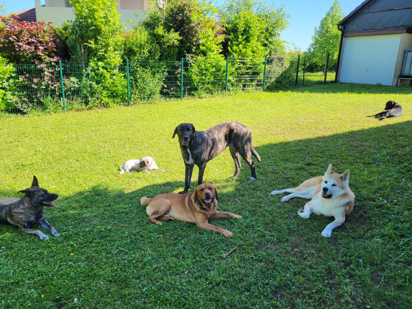 Spiel und Spaß - und auch mal ausruhen