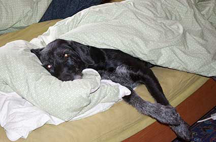 Ich will nur ausruhen